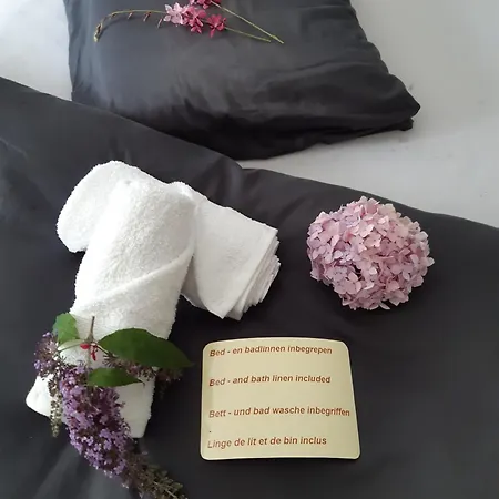 Apartament Residentie Lumina *